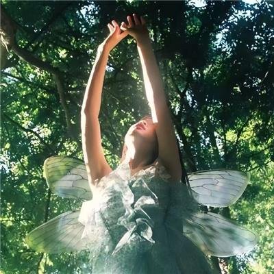 塔拉迪加之夜：瑞奇鲍比的民谣